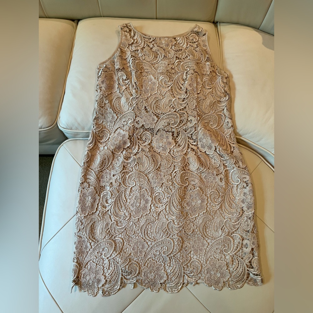 Adrianna Papell Lace Dress in Beige